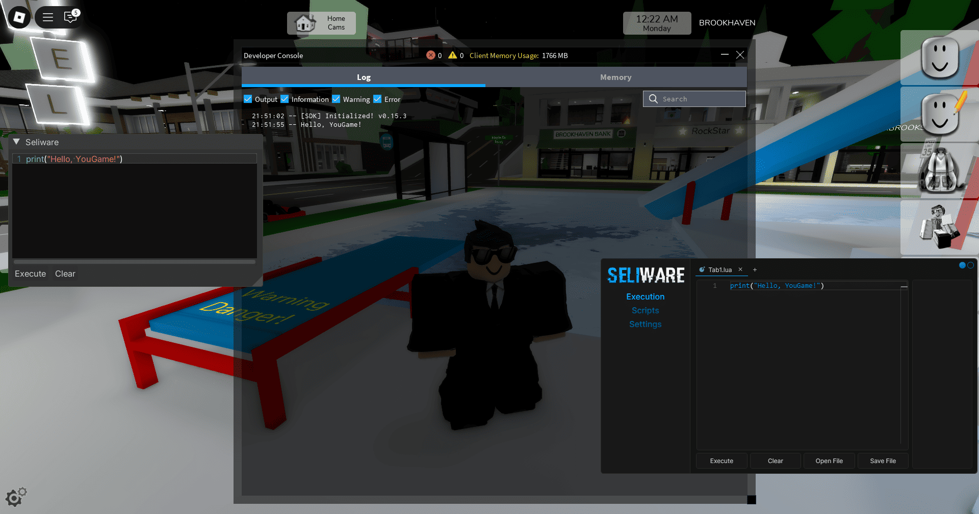Seliware cheat screenshot — frame 2