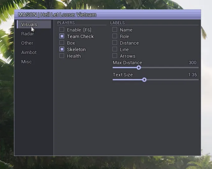 MASON cheat screenshot — frame 3